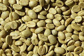 Sidamo coffee beans